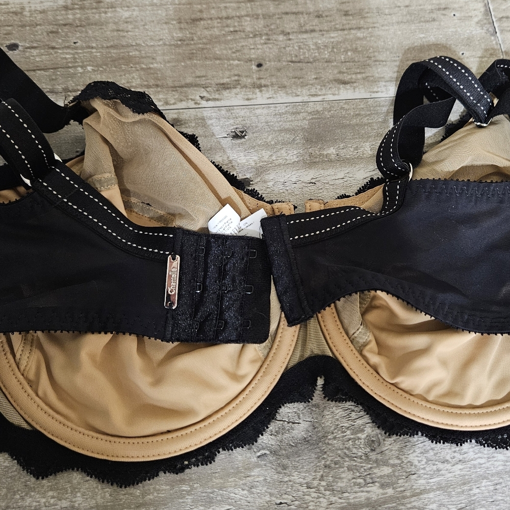 Chantelle Black Sheer Lace Bra - Picture 5 of 5